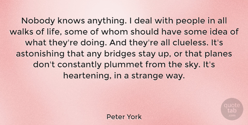 Peter York Quote About Clueless, Should Have, Sky: Nobody Knows Anything I Deal...