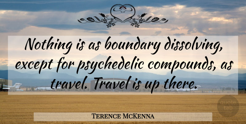 Terence McKenna Quote About Psychedelic, Boundaries, Compounds: Nothing Is As Boundary Dissolving...