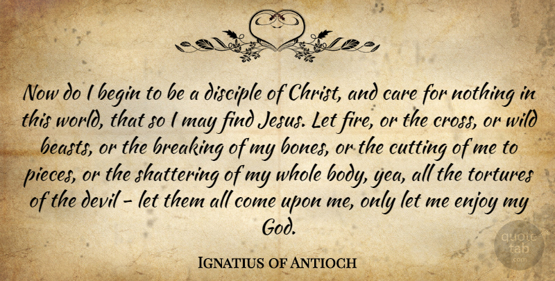 Ignatius of Antioch Quote About Jesus, Cutting, Fire: Now Do I Begin To...