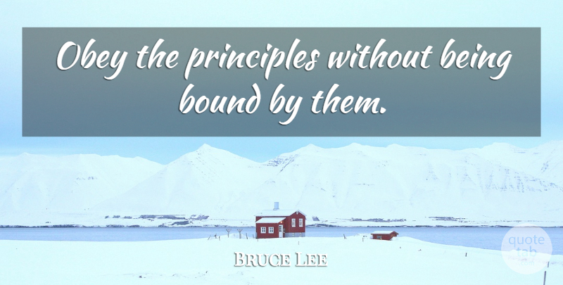 Bruce Lee Quote About Principles, Martial Arts, Martial Artist: Obey The Principles Without Being...