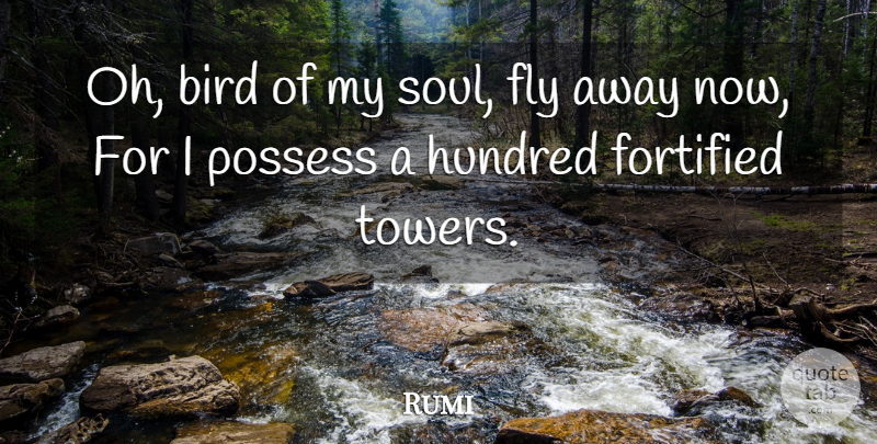 Rumi Quote About Bird, Soul, Towers: Oh Bird Of My Soul...