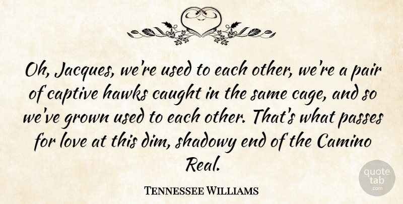 Tennessee Williams Quote About Love, Real, Hawks: Oh Jacques Were Used To...