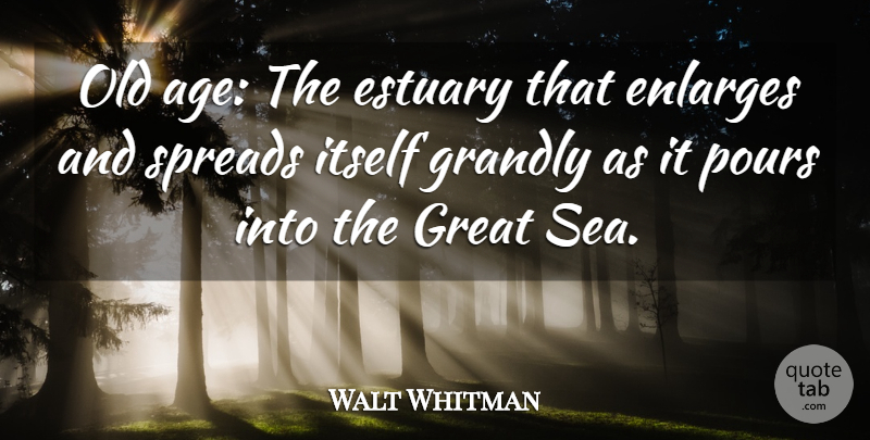 Walt Whitman Quote About Sea, Age, Aging: Old Age The Estuary That...