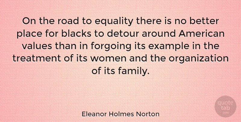 Eleanor Holmes Norton Quote About Organization, Example, Detours: On The Road To Equality...