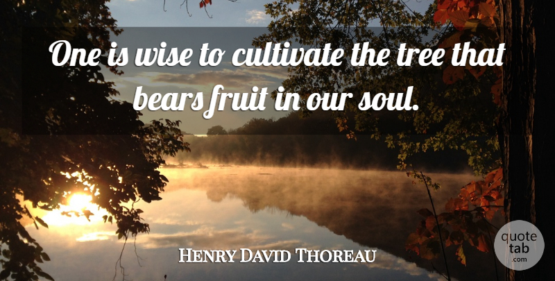 Henry David Thoreau Quote About Wise, Silly, Tree: One Is Wise To Cultivate...