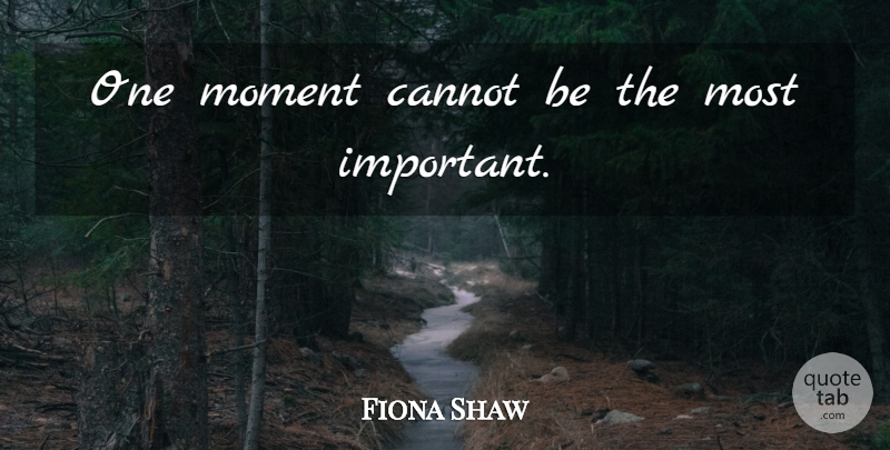 Fiona Shaw Quote About Important, Moments: One Moment Cannot Be The...