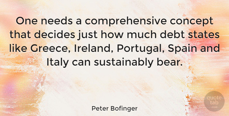 Peter Bofinger Quote About Concept, Decides, Needs, Spain, States: One Needs A Comprehensive Concept...