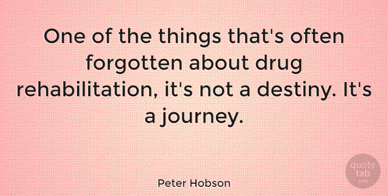 Peter Hobson Quote About Destiny, Journey, Alcohol: One Of The Things Thats...