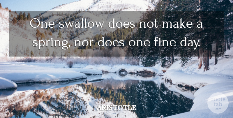 Aristotle Quote About Spring, Doe, Fine: One Swallow Does Not Make...