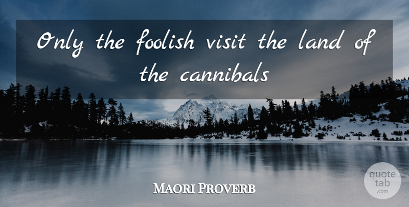 Maori Proverb Quote About Cannibals, Foolish, Land, Visit: Only The Foolish Visit The...
