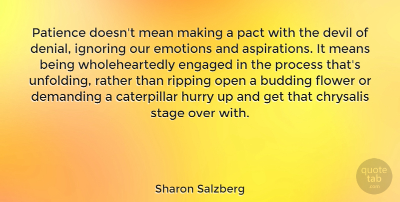 Sharon Salzberg Quote About Flower, Mean, Devil: Patience Doesnt Mean Making A...