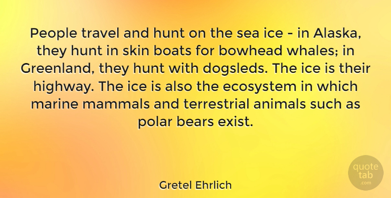 Gretel Ehrlich Quote About Bears, Boats, Ecosystem, Hunt, Ice: People Travel And Hunt On...