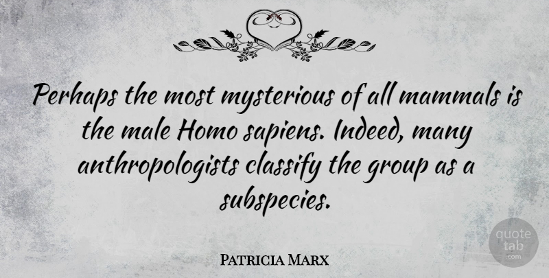 Patricia Marx Quote About Groups, Mammals, Males: Perhaps The Most Mysterious Of...
