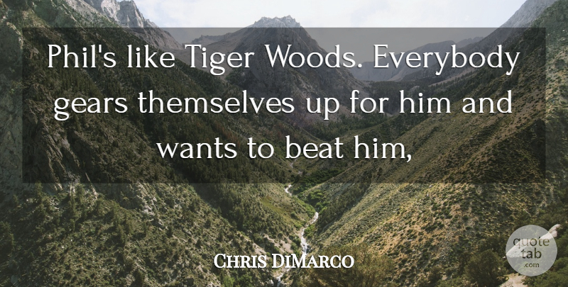 Chris DiMarco Quote About Beat, Everybody, Gears, Themselves, Tiger: Phils Like Tiger Woods Everybody...