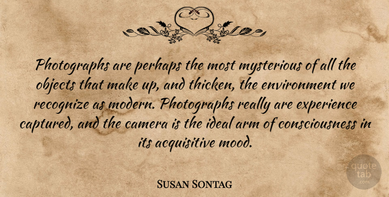 Susan Sontag Quote About Photography, Arms, Cameras: Photographs Are Perhaps The Most...