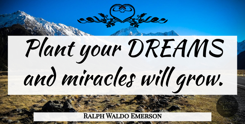 Ralph Waldo Emerson Quote About Dream, Miracle, Plant: Plant Your Dreams And Miracles...