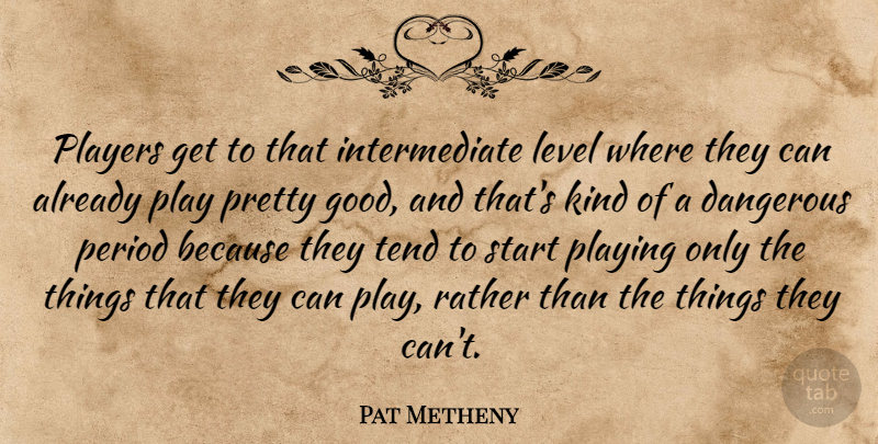 Pat Metheny Quote About Player, Levels, Kind: Players Get To That Intermediate...