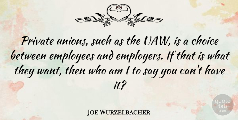 Joe Wurzelbacher Quote About Private: Private Unions Such As The...