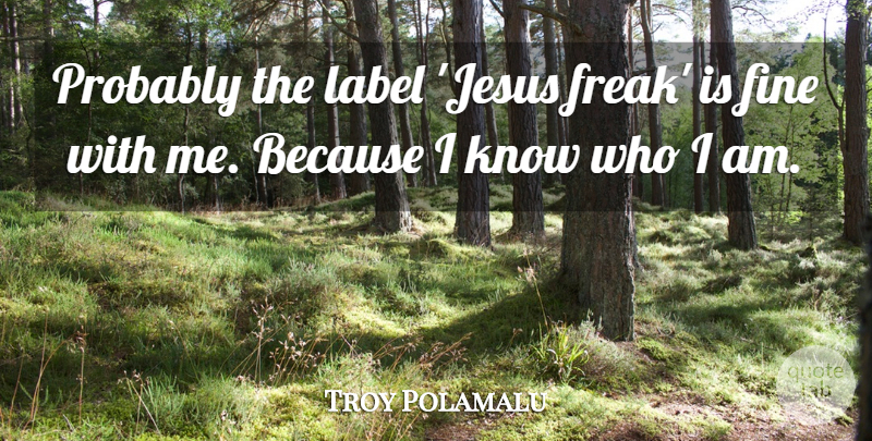 Troy Polamalu Quote About Jesus, Who I Am, Labels: Probably The Label Jesus Freak...