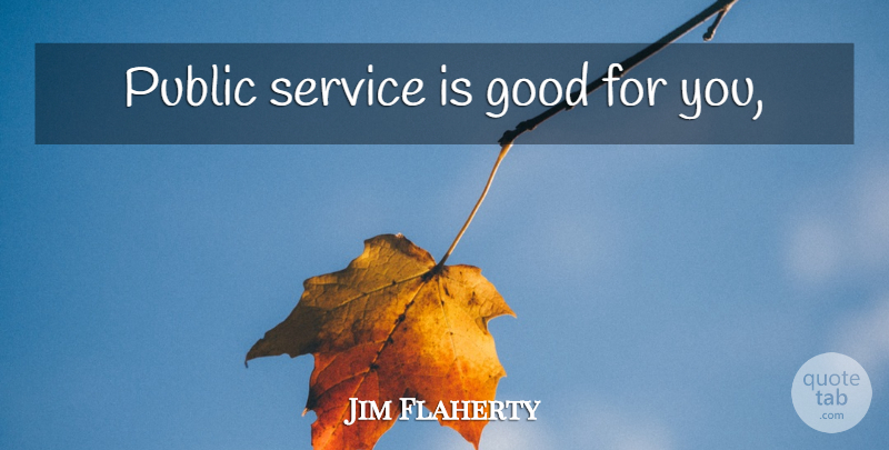 Jim Flaherty Quote About Public Service: Public Service Is Good For...