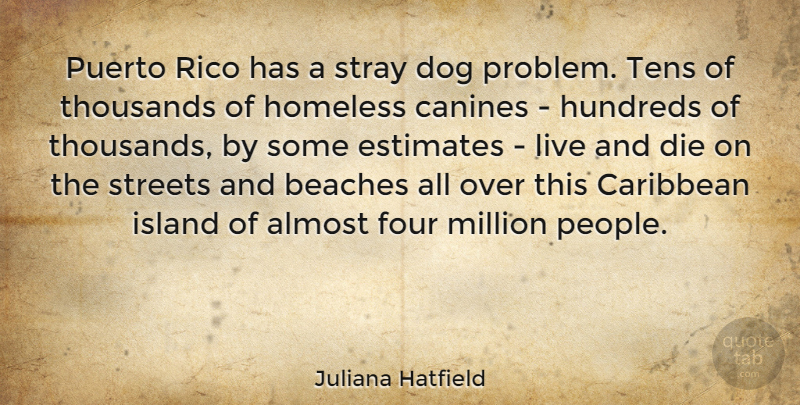 Juliana Hatfield Quote About Beach, Dog, Islands: Puerto Rico Has A Stray...