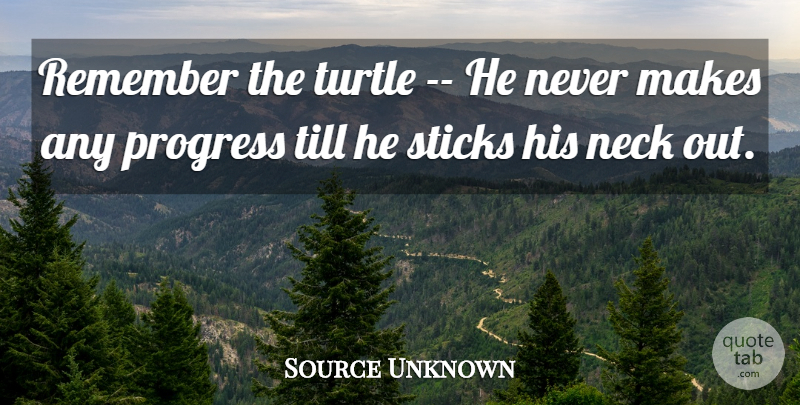 Source Unknown Quote About Neck, Progress, Remember, Risk, Sticks: Remember The Turtle He Never...