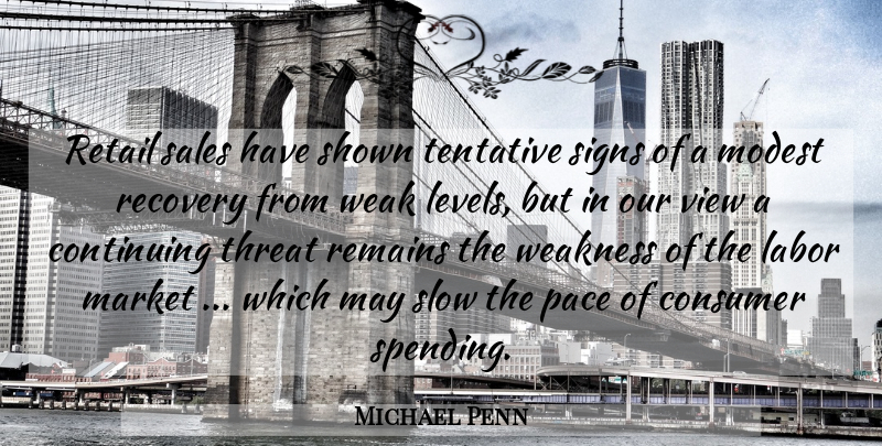 Michael Penn Quote About Consumer, Continuing, Labor, Market, Modest: Retail Sales Have Shown Tentative...