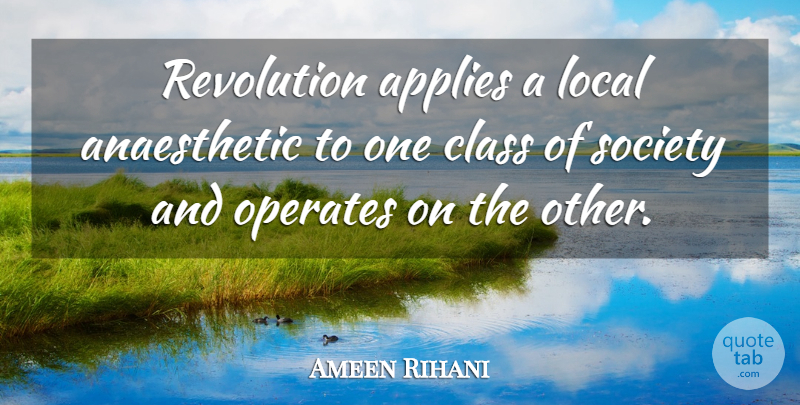 Ameen Rihani Quote About Applies, Local, Society: Revolution Applies A Local Anaesthetic...