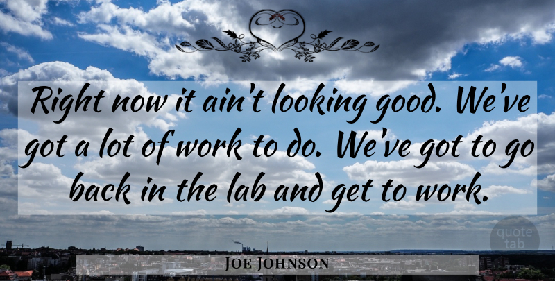 Joe Johnson Quote About Lab, Looking, Work: Right Now It Aint Looking...