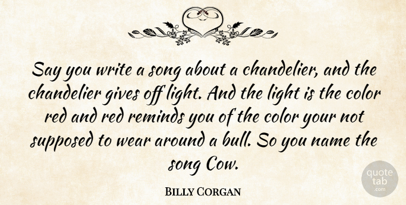 Billy Corgan Quote About Song, Writing, Light: Say You Write A Song...