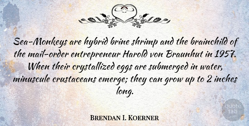 Brendan I. Koerner Quote About Eggs, Grow, Harold, Hybrid, Inches: Sea Monkeys Are Hybrid Brine...