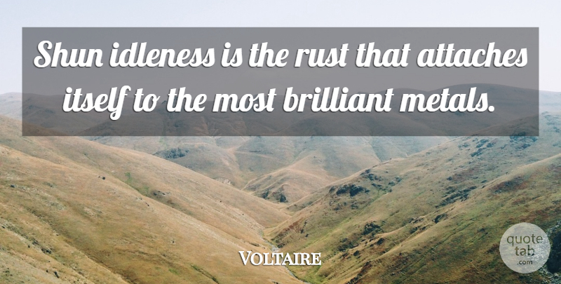 Voltaire Quote About Brilliant, Idleness, Itself, Rust, Shun: Shun Idleness Is The Rust...