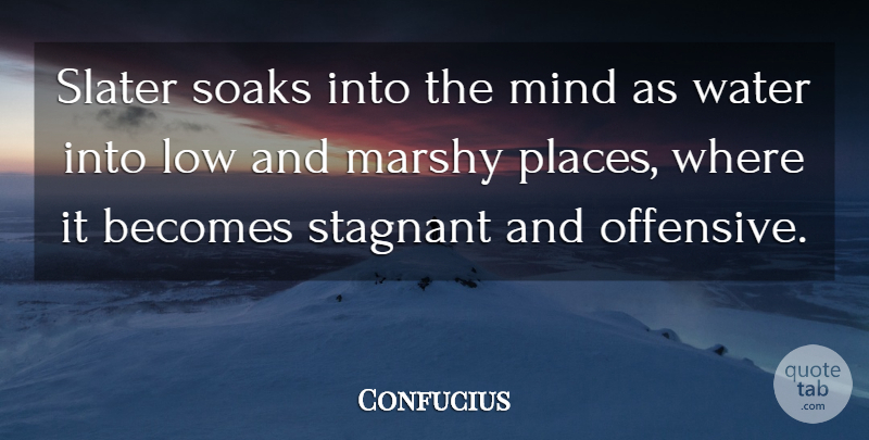 Confucius Quote About Water, Mind, Offensive: Slater Soaks Into The Mind...