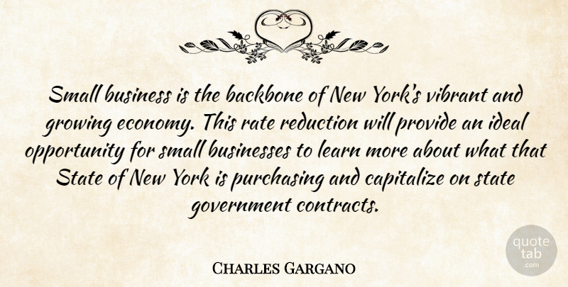 Charles Gargano Quote About Backbone, Business, Businesses, Capitalize, Government: Small Business Is The Backbone...