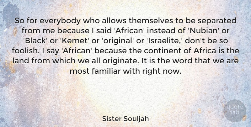 Sister Souljah Quote About Land, Black, Foolish: So For Everybody Who Allows...
