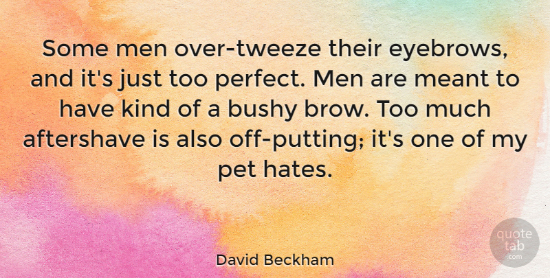 David Beckham Quote About Hate, Men, Eyebrows: Some Men Over Tweeze Their...