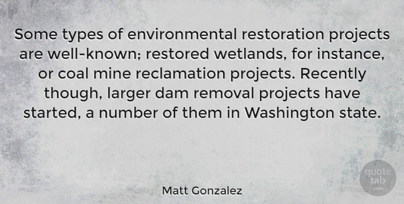 Matt Gonzalez Quote About Coal, Dam, Environmental, Larger, Projects: Some Types Of Environmental Restoration...