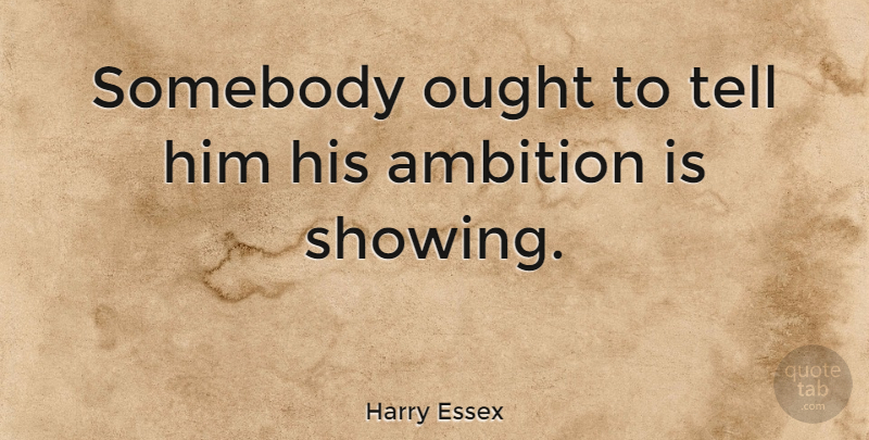 Harry Essex Quote About Somebody: Somebody Ought To Tell Him...