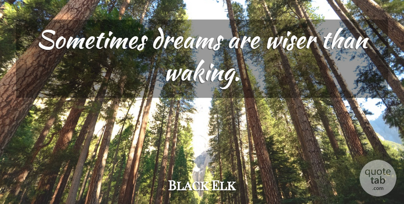Black Elk Quote About Dream, Waking, Wake Up: Sometimes Dreams Are Wiser Than...