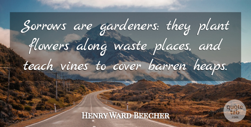 Henry Ward Beecher Quote About Flower, Sorrow, Vines: Sorrows Are Gardeners They Plant...