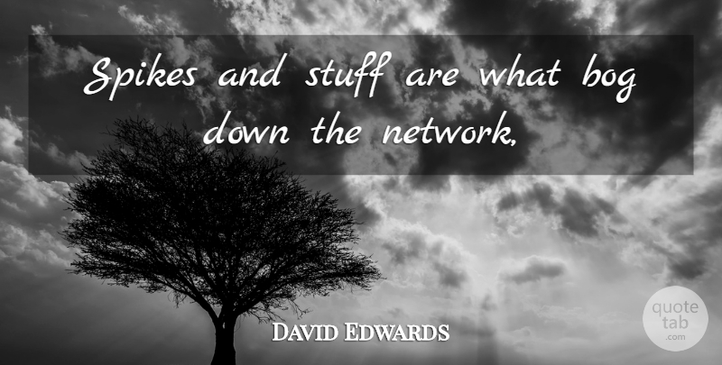 David Edwards Quote About Stuff: Spikes And Stuff Are What...