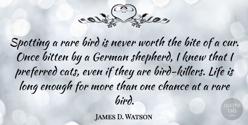 James D. Watson Quote About Bird, Bite, Bitten, Chance, German: Spotting A Rare Bird Is...