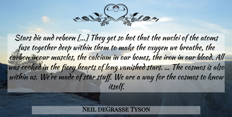 Neil deGrasse Tyson Quote About Stars, Heart, Oxygen: Stars Die And Reborn They...