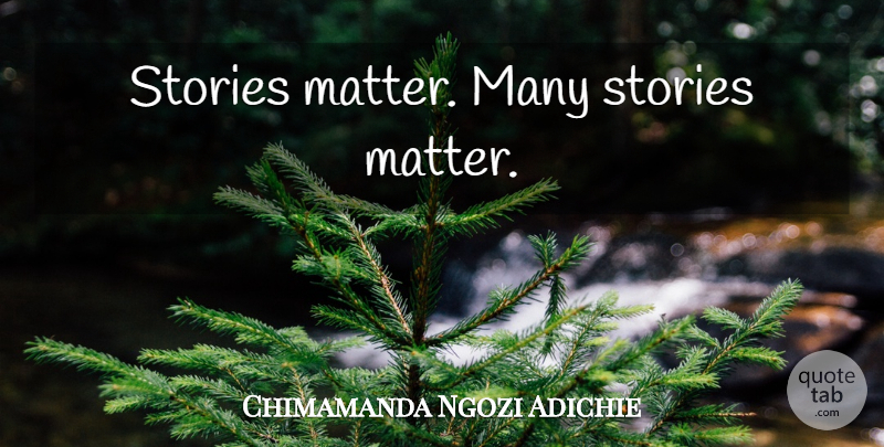 Chimamanda Ngozi Adichie Quote About Stories, Matter: Stories Matter Many Stories Matter...