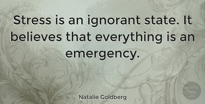 Natalie Goldberg Quote About Stress, Believe, Relaxation: Stress Is An Ignorant State...