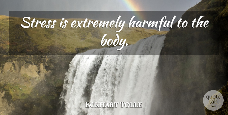 Eckhart Tolle Quote About Stress, Body: Stress Is Extremely Harmful To...