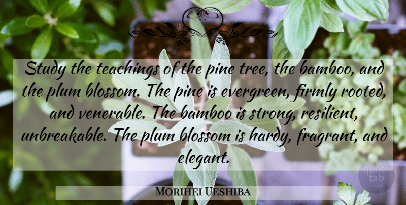 Morihei Ueshiba Quote About Strong, Teaching, Tree: Study The Teachings Of The...