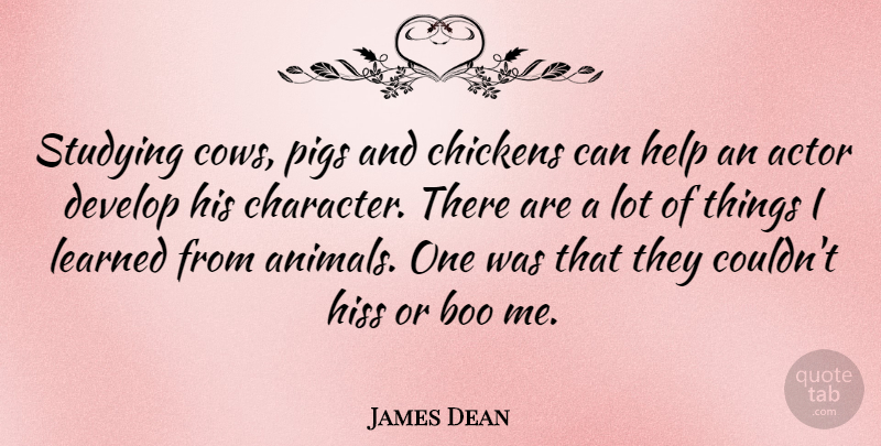 James Dean Quote About Character, Animal, Pigs: Studying Cows Pigs And Chickens...