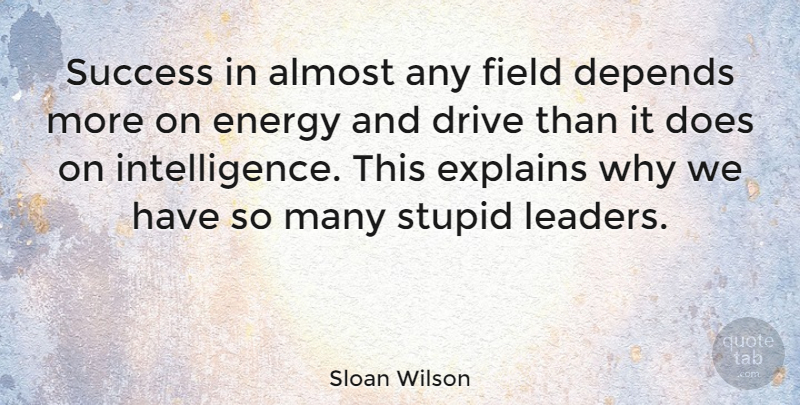 Sloan Wilson Quote About Funny, Success, Business: Success In Almost Any Field...