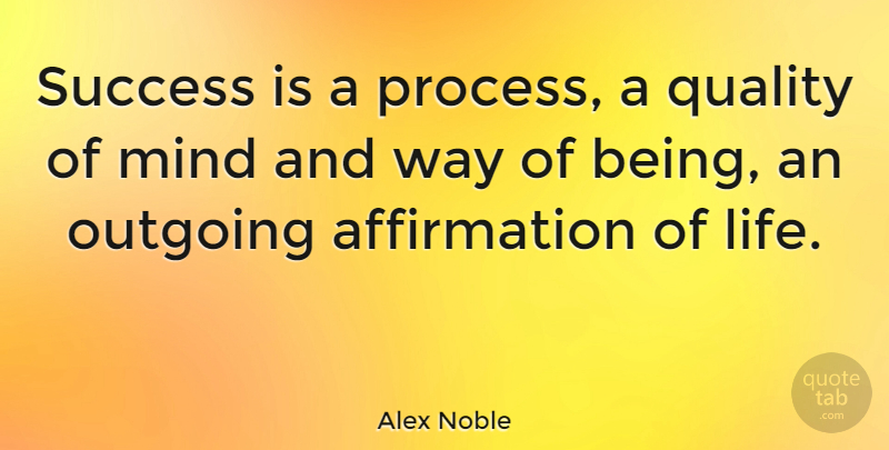 Alex Noble Quote About French Novelist, Mind, Outgoing, Success: Success Is A Process A...